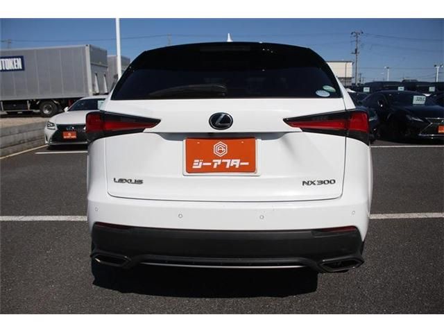 TOYOTA LEXUS NX300 2017 Image 31