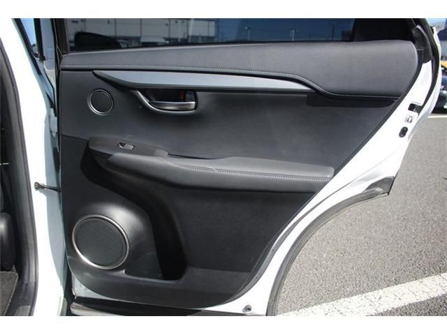 TOYOTA LEXUS NX300 2017 Image 31