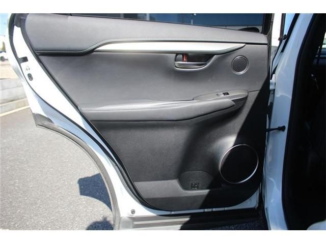 TOYOTA LEXUS NX300 2017 Image 31