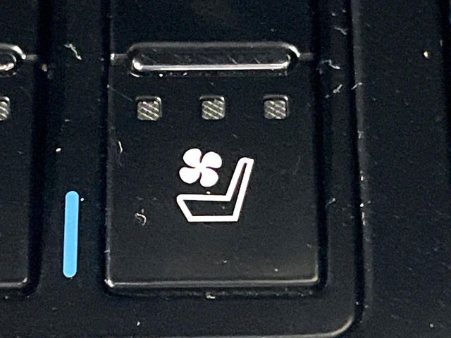 TOYOTA LEXUS RX450H 2WD 2020 Image 31