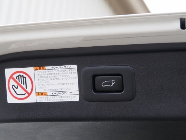 TOYOTA ALPHARD HYBRID 4WD 2021 Image 31