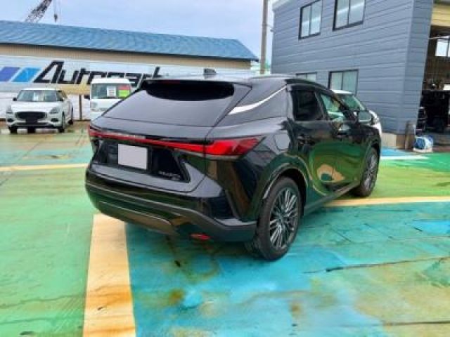 TOYOTA LEXUS RX450H+ 2024 Image 31