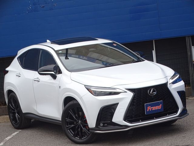 TOYOTA LEXUS NX350H 2023 Image 31