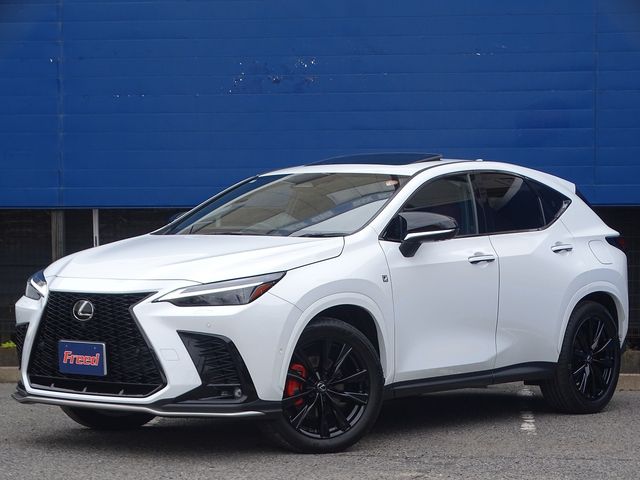 TOYOTA LEXUS NX350H 2023 Image 31