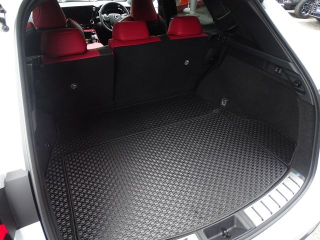 TOYOTA LEXUS NX350H 2023 Image 31