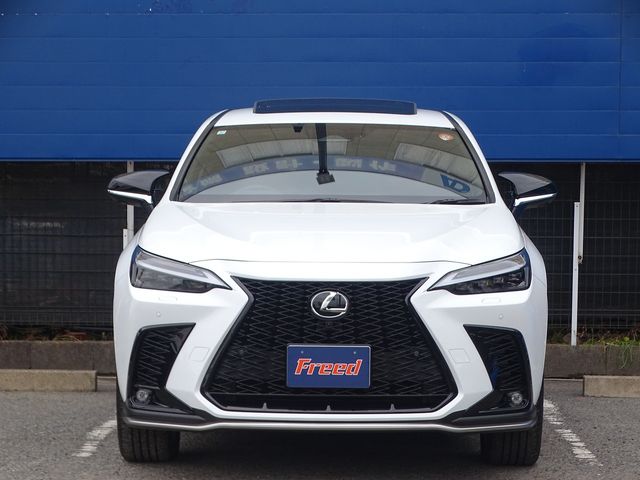 TOYOTA LEXUS NX350H 2023 Image 31