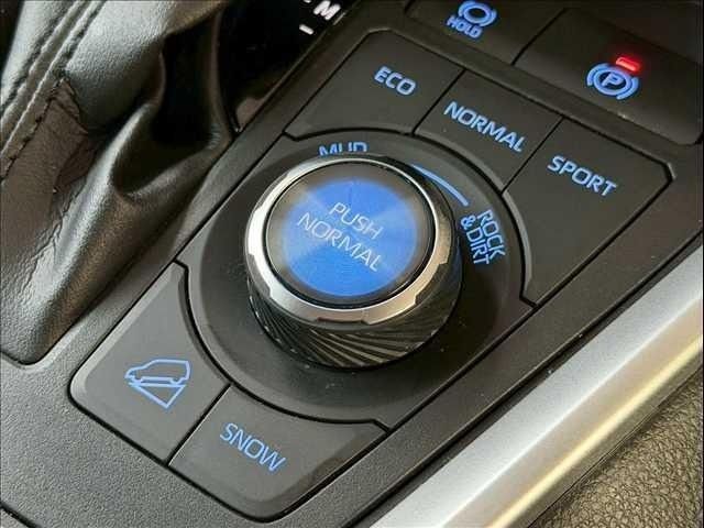 TOYOTA RAV4 4WD 2021 Image 31