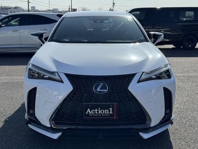 TOYOTA LEXUS UX250H 2019 Image 31