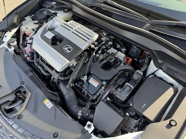 TOYOTA LEXUS UX250H 2019 Image 31