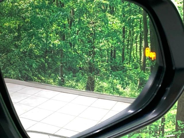 TOYOTA RAV4 4WD 2021 Image 31