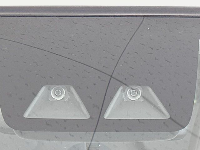 DAIHATSU CAST STYLE 2021 Image 31