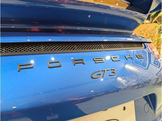 PORSCHE 911 2014 Image 31