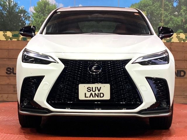 TOYOTA LEXUS NX350H 2023 Image 31