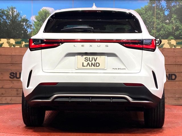 TOYOTA LEXUS NX350H 2023 Image 31
