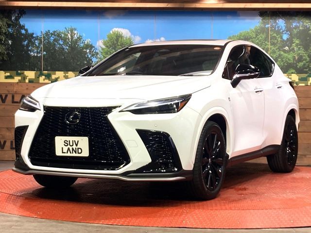 TOYOTA LEXUS NX350H 2023 Image 31