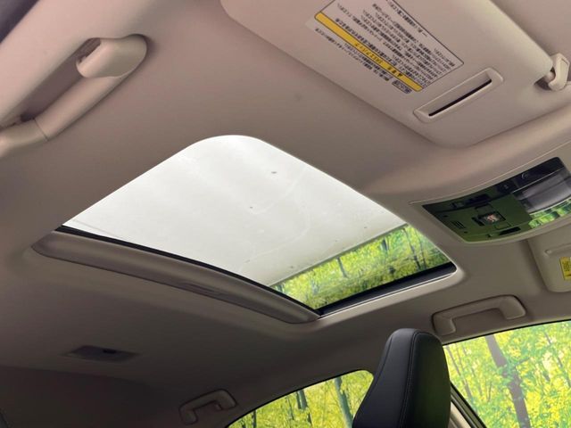 TOYOTA LEXUS NX300H 2016 Image 31