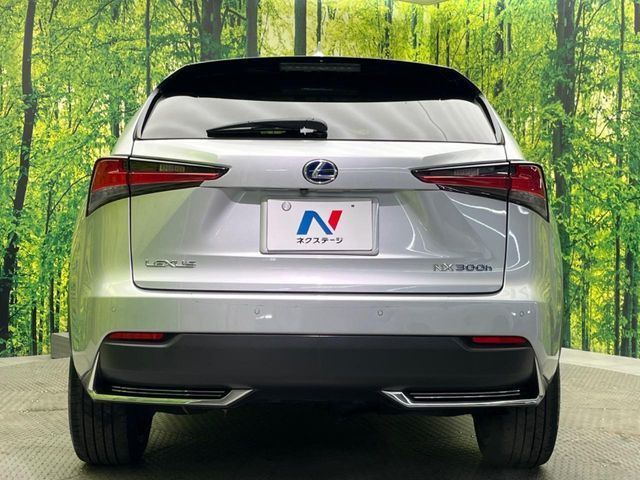 TOYOTA LEXUS NX300H 2016 Image 31