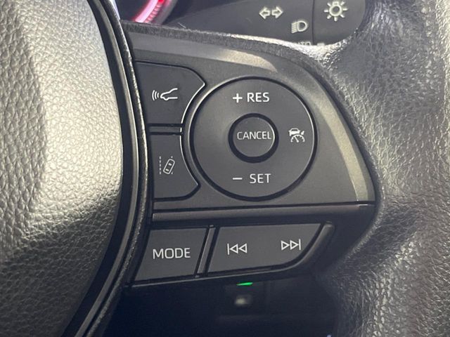 MITSUOKA BUDDY 2024 Image 31