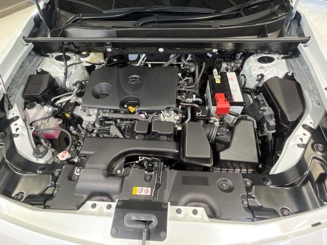 MITSUOKA BUDDY 2024 Image 31