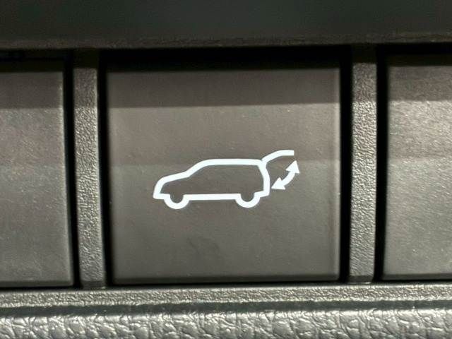 TOYOTA LANDCRUISER 250 2024 Image 31