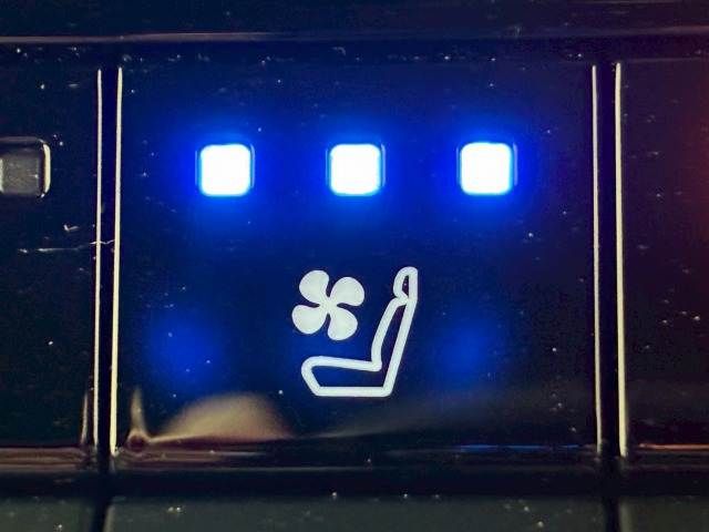 TOYOTA LANDCRUISER 250 2024 Image 31