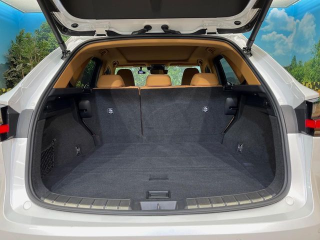 TOYOTA LEXUS NX350H AWD 2023 Image 31
