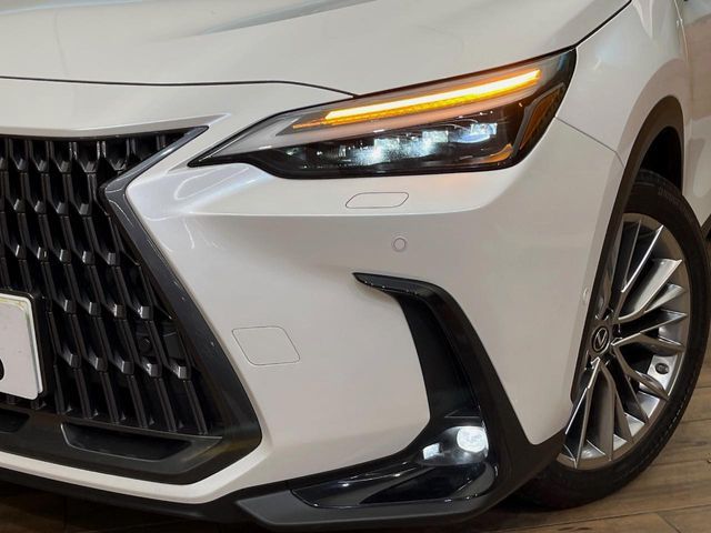 TOYOTA LEXUS NX350H AWD 2023 Image 31