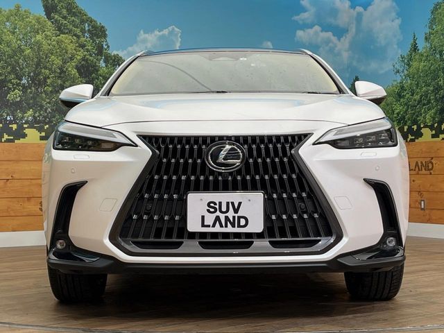 TOYOTA LEXUS NX350H AWD 2023 Image 31
