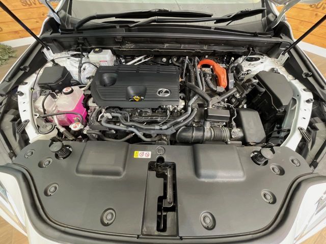 TOYOTA LEXUS NX350H AWD 2023 Image 31