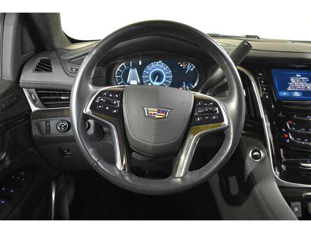 CADILLAC ESCALADE 2020 Image 31