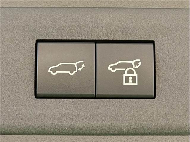 TOYOTA LEXUS NX350H 2023 Image 31