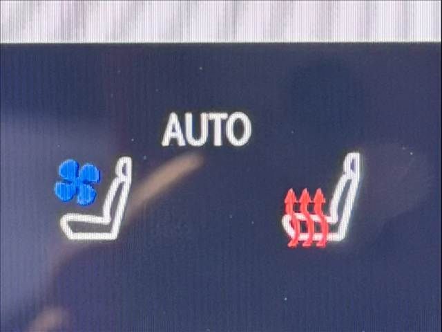 TOYOTA LEXUS NX350H 2023 Image 31