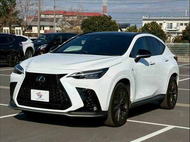 TOYOTA LEXUS NX350H 2023 Image 31