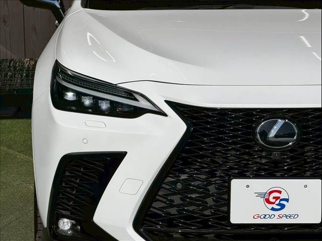 TOYOTA LEXUS NX350H 2023 Image 31