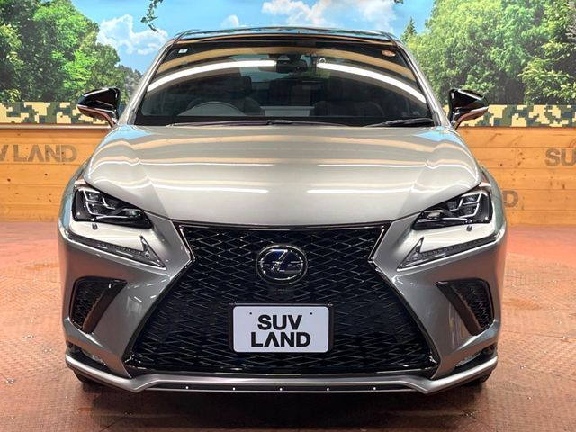 TOYOTA LEXUS NX300H 2020 Image 31