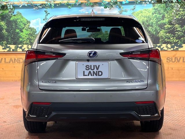 TOYOTA LEXUS NX300H 2020 Image 31