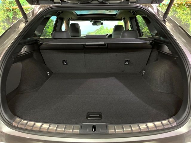 TOYOTA LEXUS RX350H 2024 Image 31