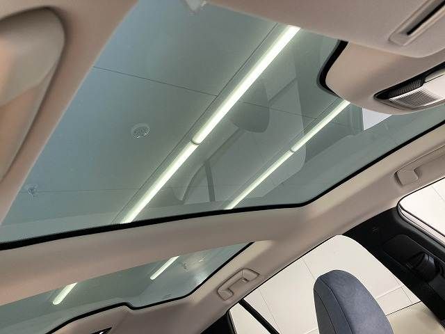 TOYOTA LEXUS RZ450E 2023 Image 31