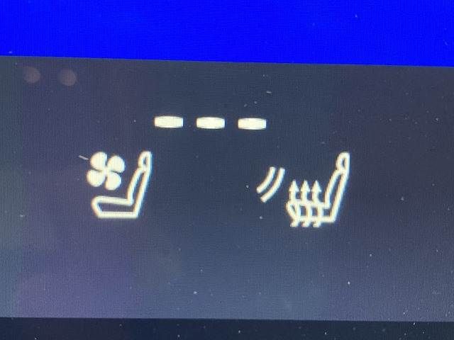 TOYOTA LEXUS RZ450E 2023 Image 31