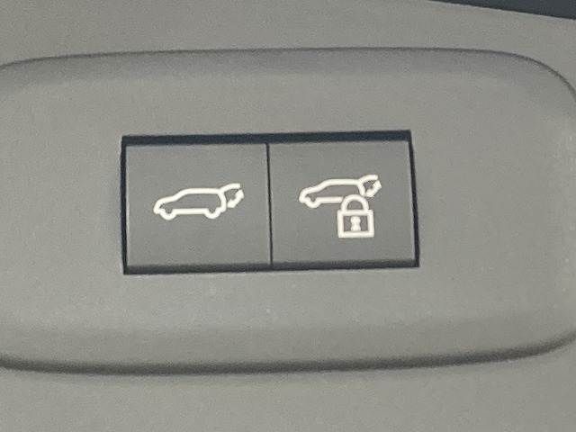 TOYOTA LEXUS RZ450E 2023 Image 31