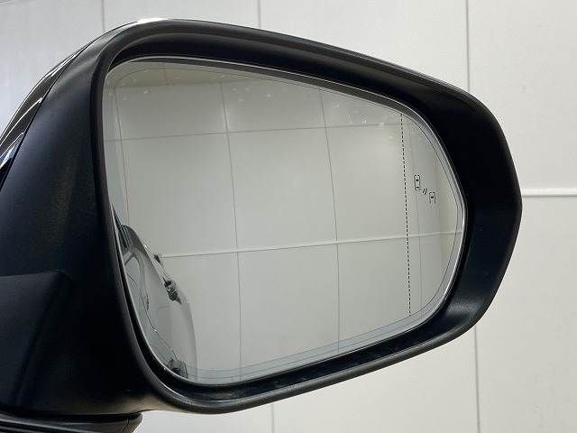 TOYOTA LEXUS RZ450E 2023 Image 31