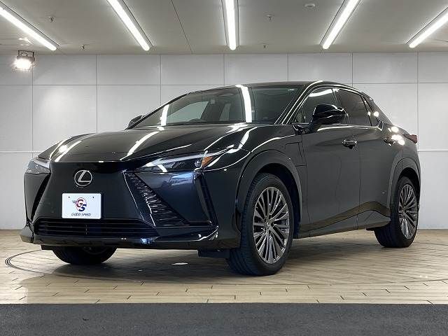 TOYOTA LEXUS RZ450E 2023 Image 31