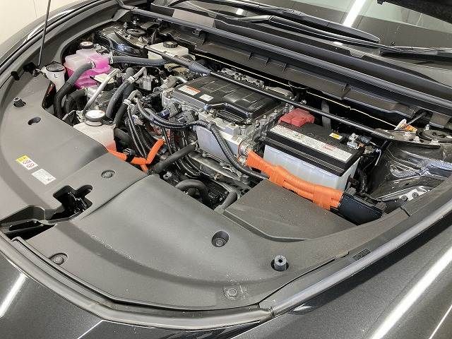 TOYOTA LEXUS RZ450E 2023 Image 31