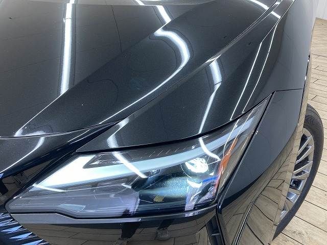 TOYOTA LEXUS RZ450E 2023 Image 31