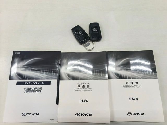 TOYOTA RAV4 4WD 2021 Image 31