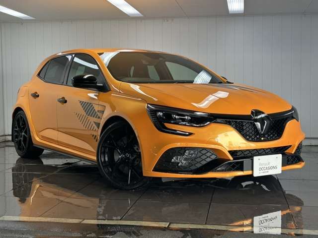 RENAULT MEGANE HATCH 2024 Image 31