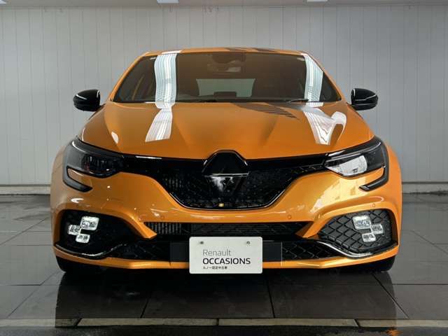 RENAULT MEGANE HATCH 2024 Image 31