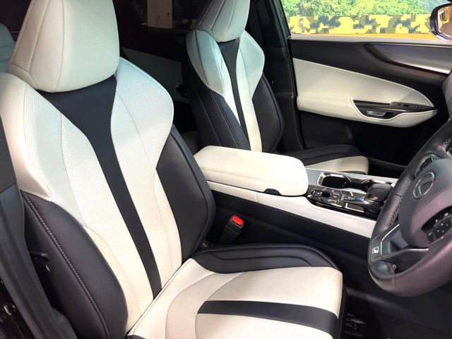 TOYOTA LEXUS NX350H 2023 Image 31