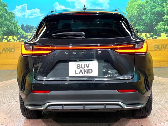 TOYOTA LEXUS NX350H 2023 Image 31