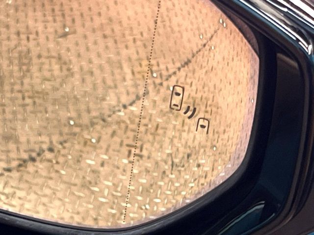 TOYOTA LEXUS UX250H 2021 Image 31